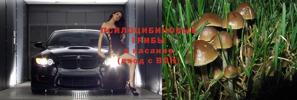 трава Баксан